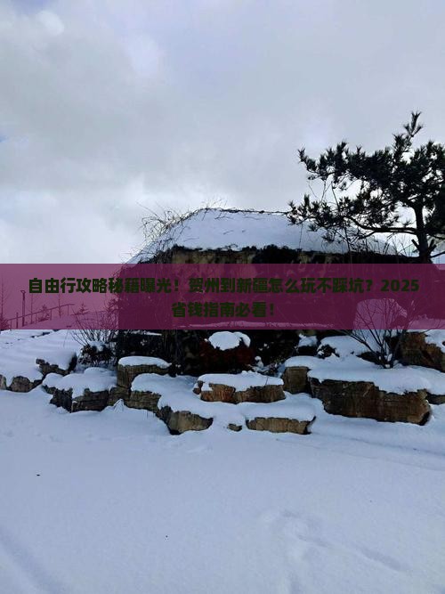 贺州到新疆自由行