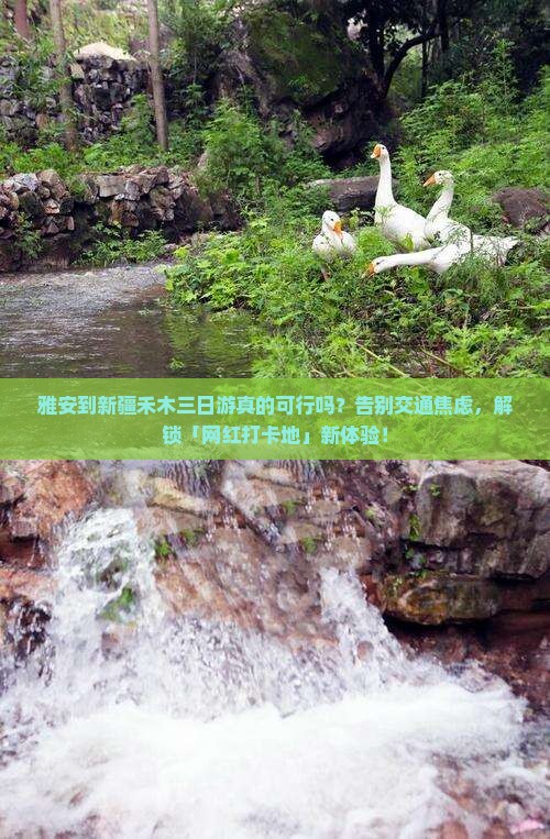 雅安到新疆禾木三日游