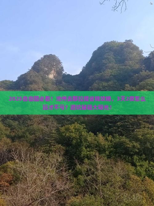 沧州去新疆那拉提自由团