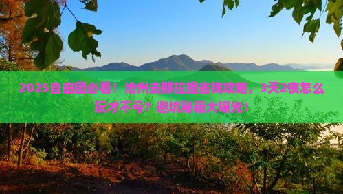 沧州去新疆那拉提自由团