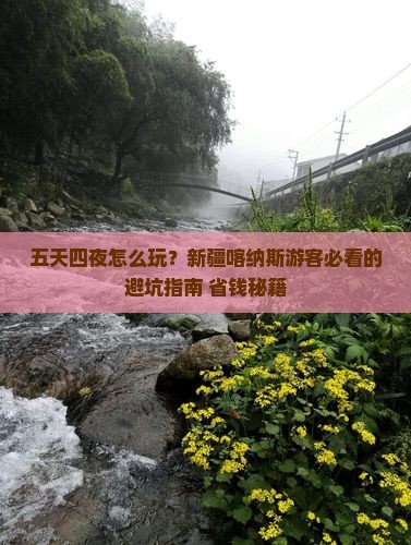 来宾去新疆喀纳斯五日游