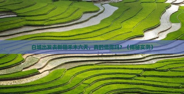 白城去新疆禾木六日游