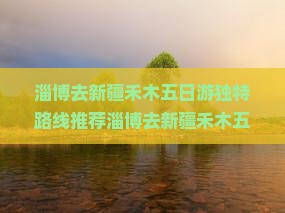 淄博去新疆禾木五日游