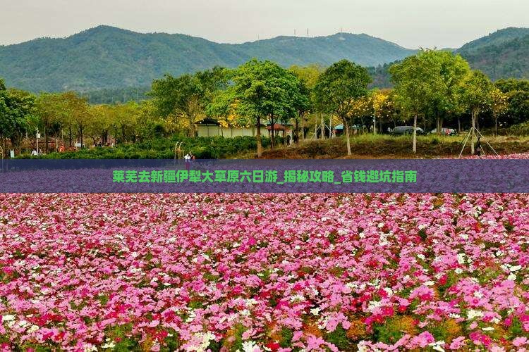 莱芜去新疆伊犁大草原六日游
