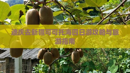 迪庆去新疆可可托海四日游