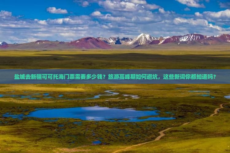 盐城去新疆可可托海门票