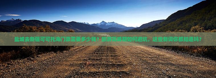 盐城去新疆可可托海门票