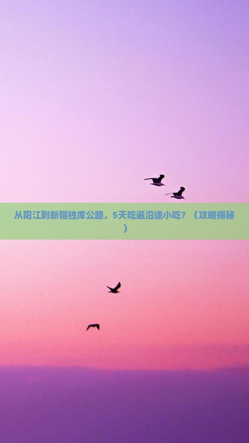 阳江到新疆独库公路旅游小吃