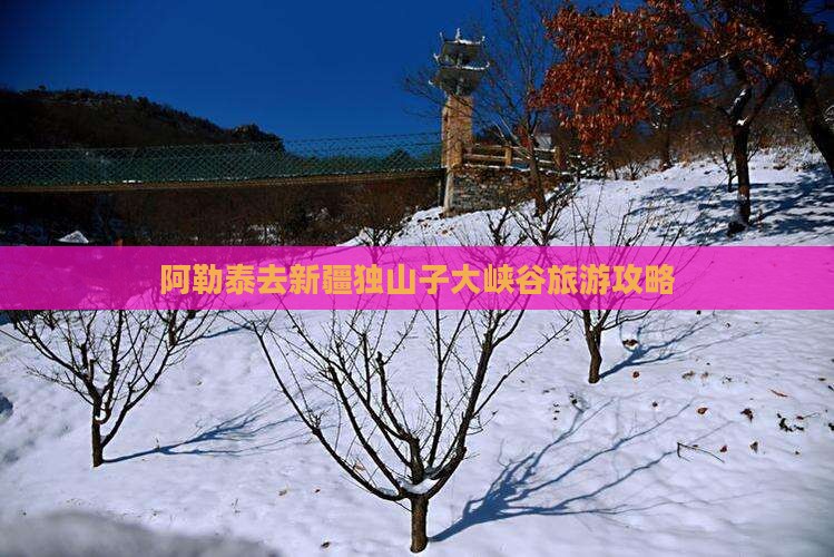 阿勒泰去新疆独山子大峡谷门票