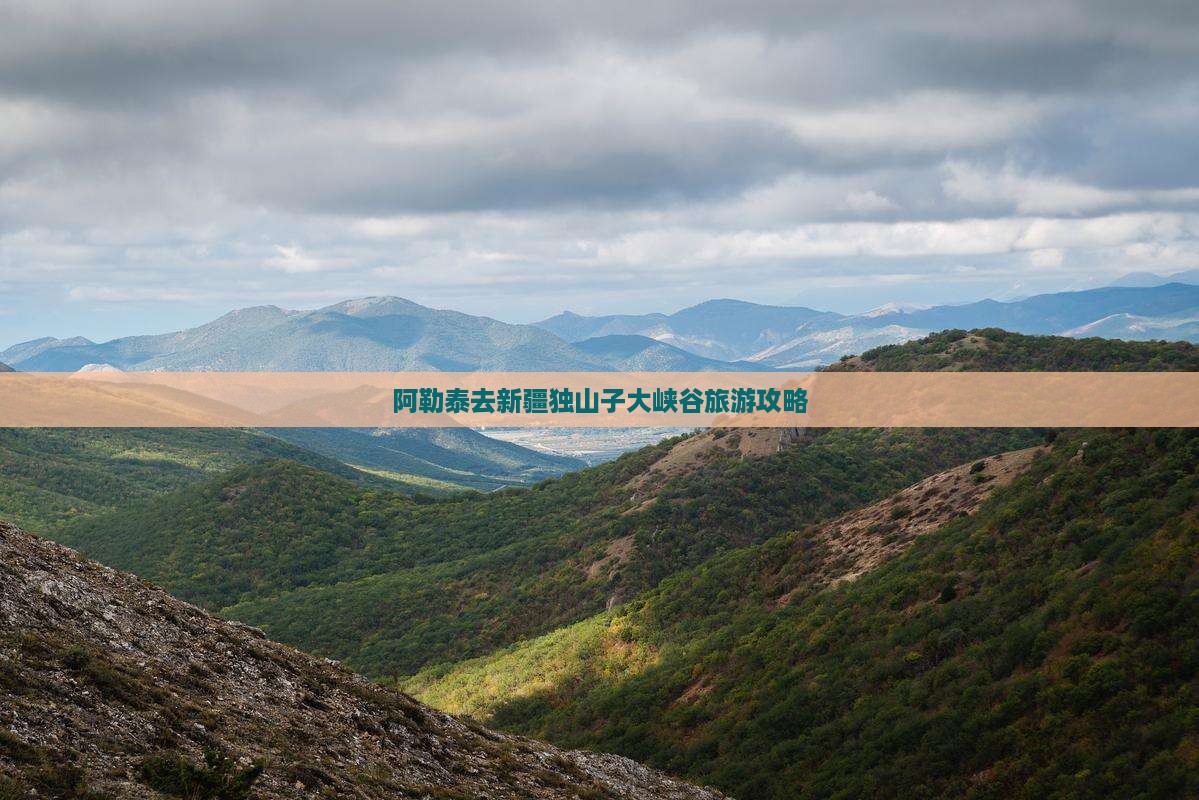 阿勒泰去新疆独山子大峡谷门票