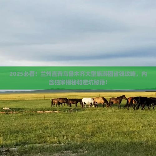 兰州去新疆乌鲁木齐大型旅游团