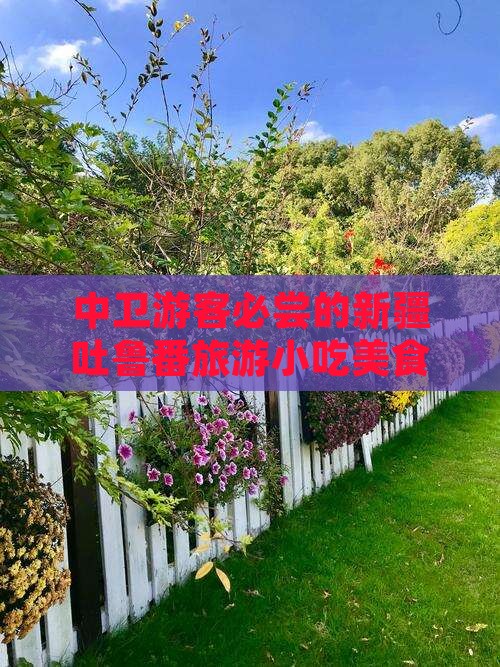 中卫去新疆吐鲁番旅游小吃