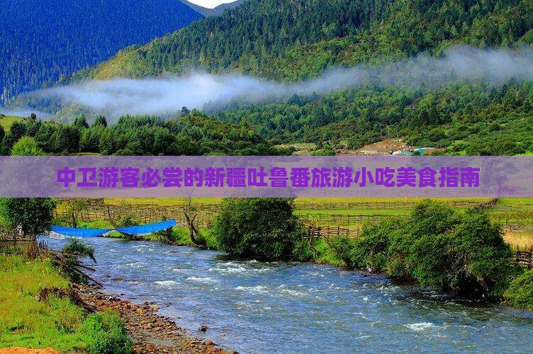 中卫去新疆吐鲁番旅游小吃