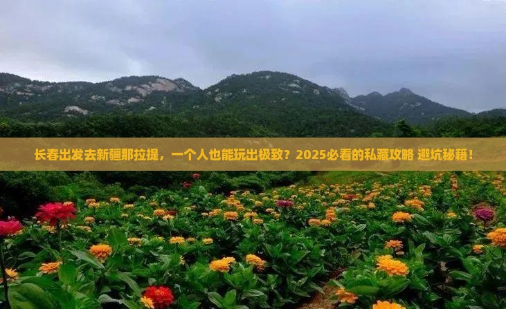 长春去新疆那拉提个人游