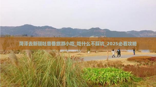 菏泽去新疆吐鲁番旅游小吃
