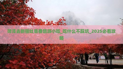 菏泽去新疆吐鲁番旅游小吃