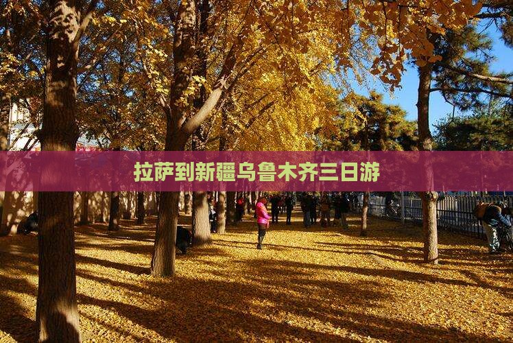 拉萨到新疆乌鲁木齐三日游