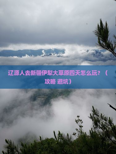 辽源去新疆伊犁大草原四日游