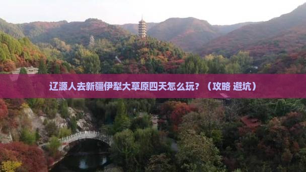 辽源去新疆伊犁大草原四日游