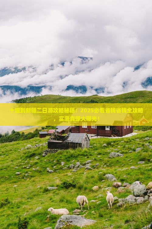 十堰到新疆二日游