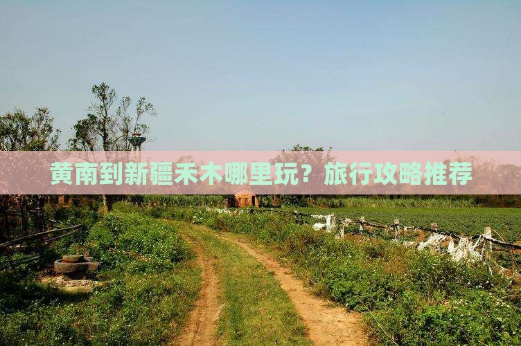 黄南到新疆禾木哪里玩
