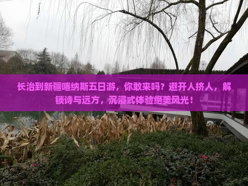 长治到新疆喀纳斯五日游