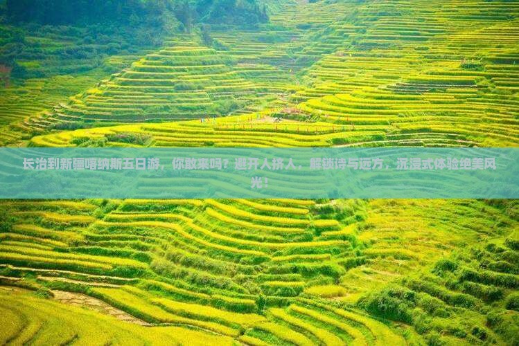 长治到新疆喀纳斯五日游
