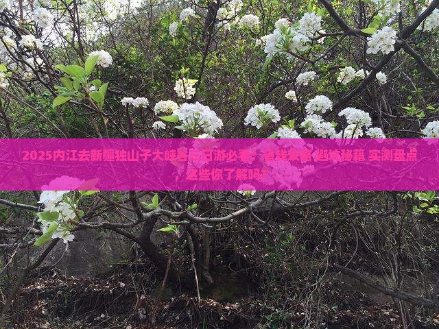内江去新疆独山子大峡谷三日游