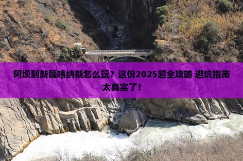 阿坝到新疆喀纳斯攻略