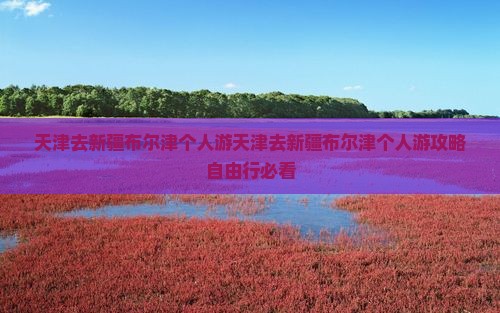天津去新疆布尔津个人游
