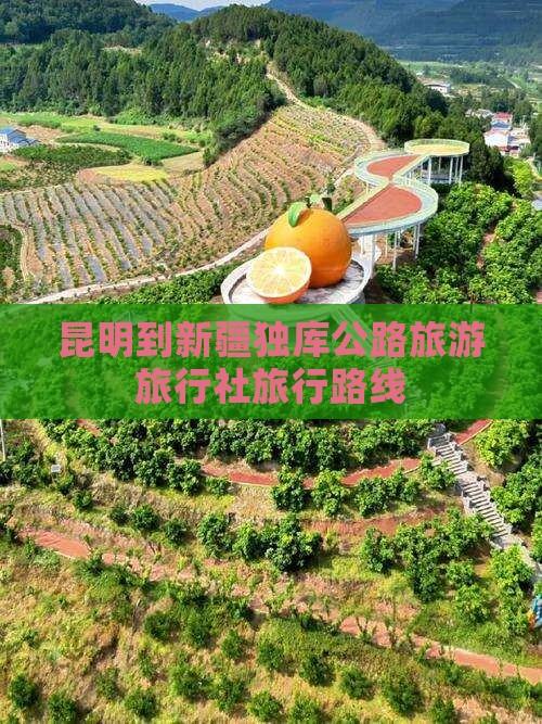 昆明到新疆独库公路旅行社