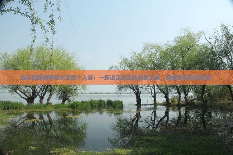 泰安到新疆伊犁大草原个人游