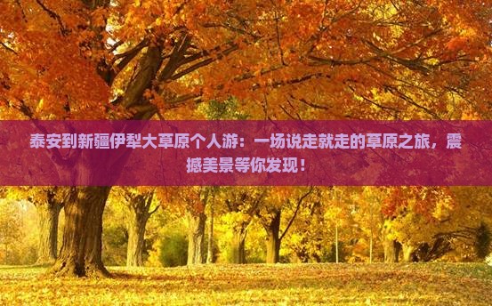 泰安到新疆伊犁大草原个人游
