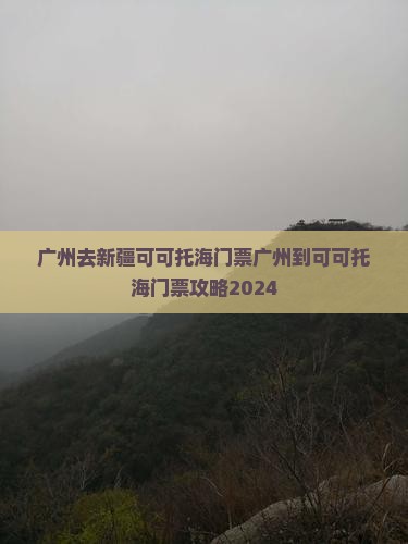 广州去新疆可可托海门票