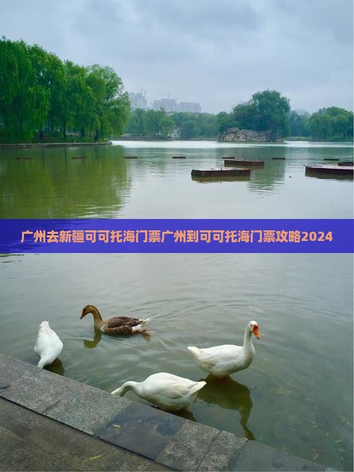 广州去新疆可可托海门票