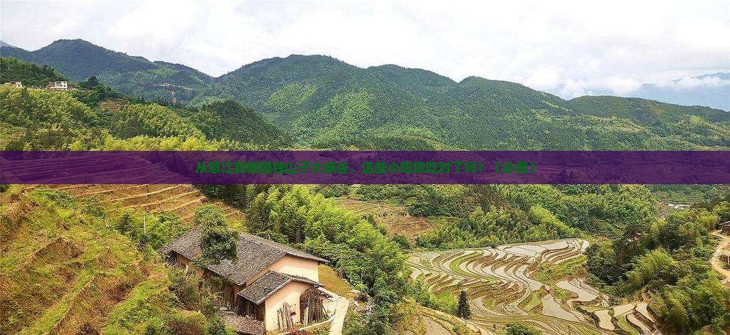 怒江到新疆独山子大峡谷旅游小吃