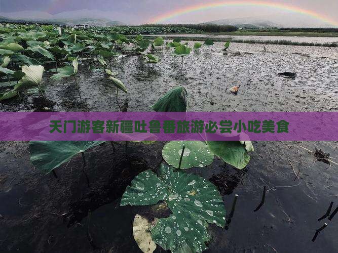 天门去新疆吐鲁番旅游小吃