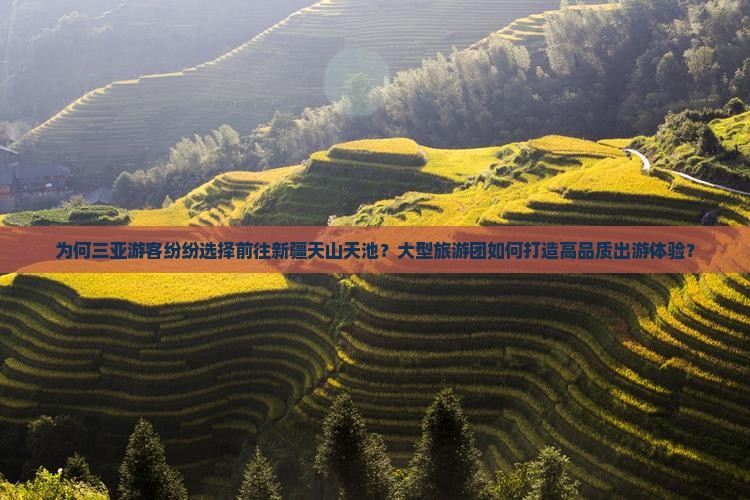 为何三亚游客纷纷选择前往新疆天山天池？大型旅游团如何打造高品质出游体验？