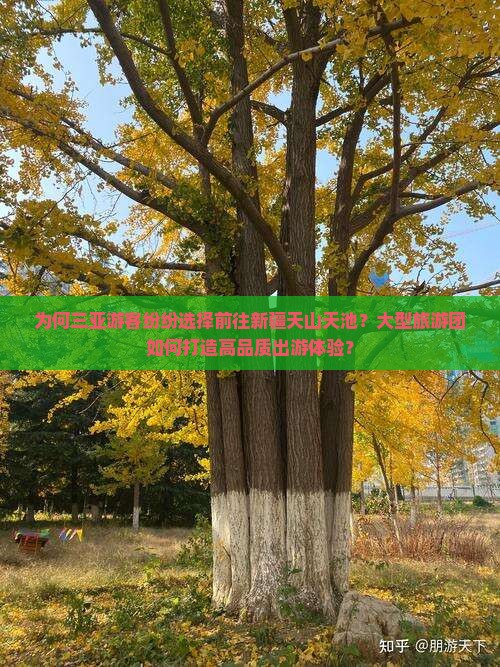 为何三亚游客纷纷选择前往新疆天山天池？大型旅游团如何打造高品质出游体验？