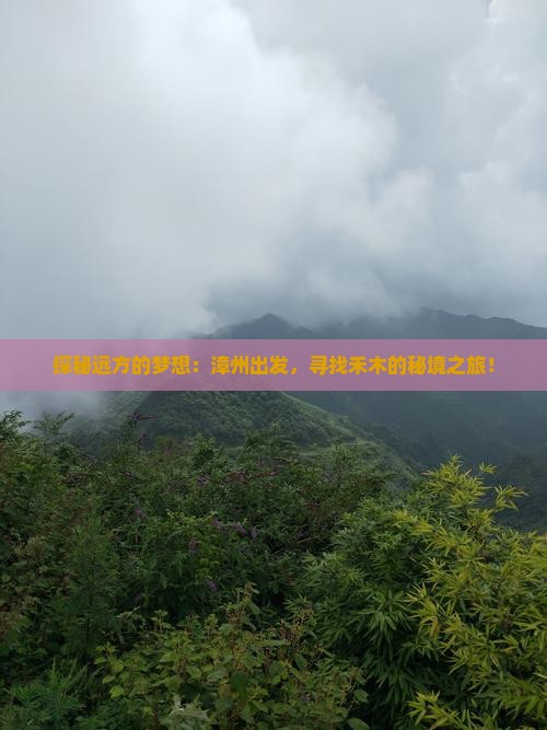 探秘远方的梦想：漳州出发，寻找禾木的秘境之旅！