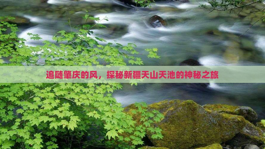 追随肇庆的风，探秘新疆天山天池的神秘之旅