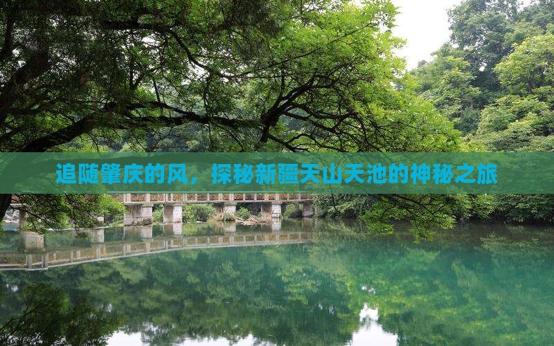 追随肇庆的风，探秘新疆天山天池的神秘之旅