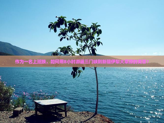 作为一名上班族，如何用8小时游遍三门峡到新疆伊犁大草原的美景？