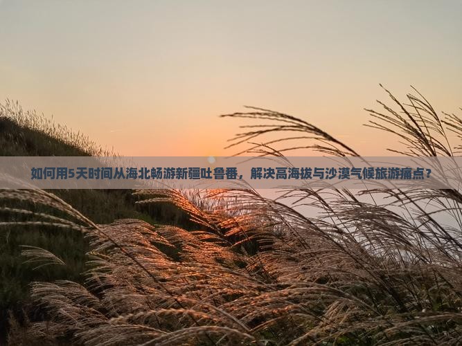 如何用5天时间从海北畅游新疆吐鲁番，解决高海拔与沙漠气候旅游痛点？