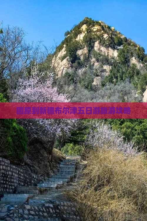 固原到新疆布尔津五日游旅游攻略