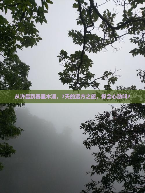 从许昌到赛里木湖，7天的远方之旅，你会心动吗？
