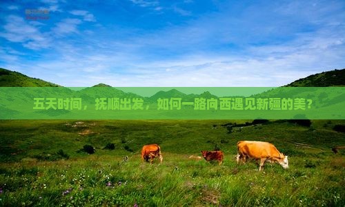 五天时间，抚顺出发，如何一路向西遇见新疆的美？
