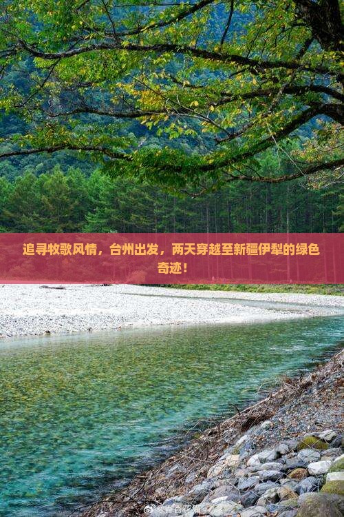 追寻牧歌风情，台州出发，两天穿越至新疆伊犁的绿色奇迹！