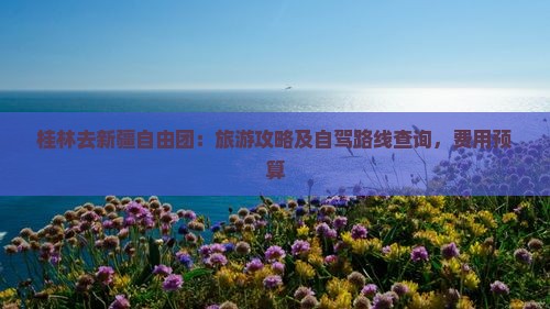桂林去新疆自由团：旅游攻略及自驾路线查询，费用预算
