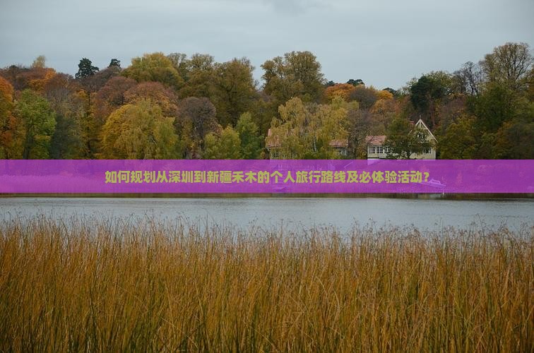 如何规划从深圳到新疆禾木的个人旅行路线及必体验活动？